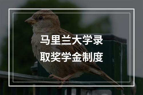 马里兰大学录取奖学金制度