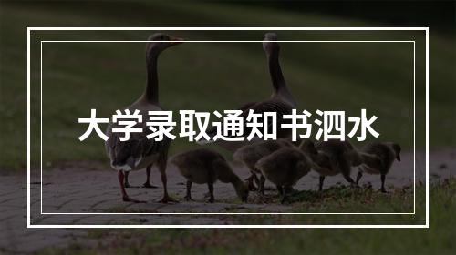 大学录取通知书泗水