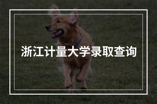 浙江计量大学录取查询