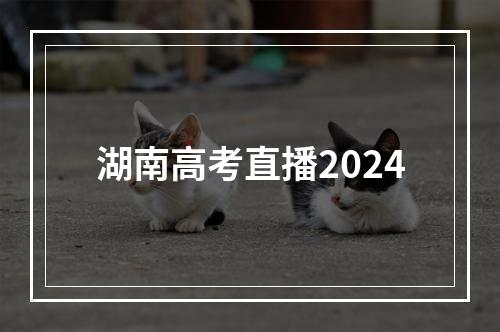 湖南高考直播2024