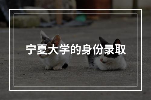 宁夏大学的身份录取