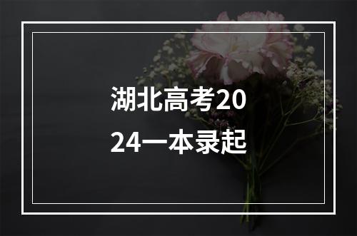 湖北高考2024一本录起