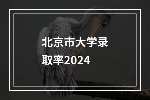 北京市大学录取率2024