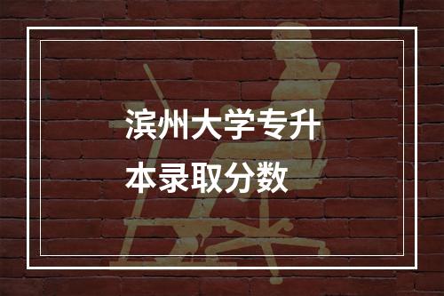 滨州大学专升本录取分数