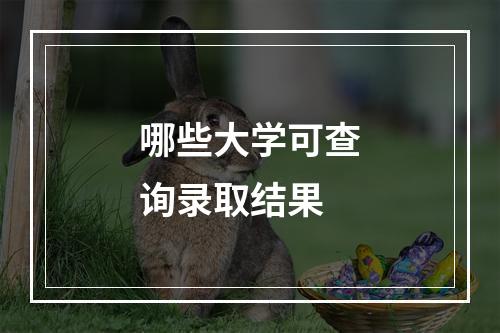 哪些大学可查询录取结果