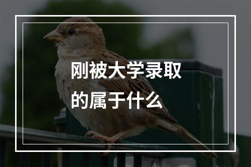 刚被大学录取的属于什么