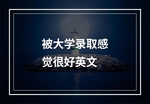 被大学录取感觉很好英文