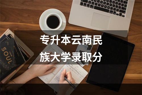 专升本云南民族大学录取分