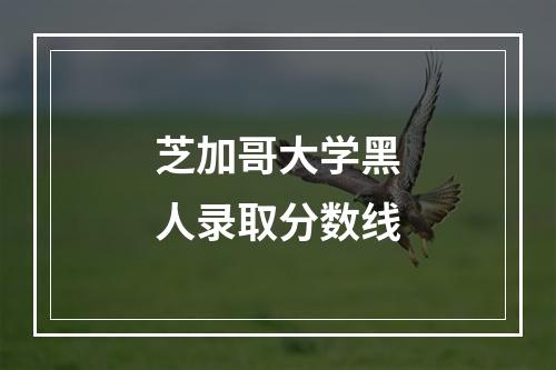 芝加哥大学黑人录取分数线