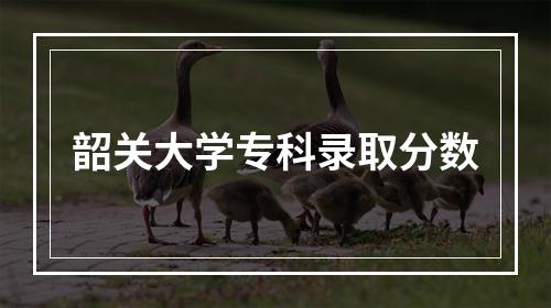 韶关大学专科录取分数