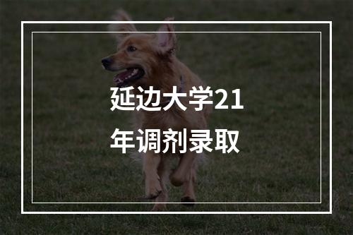 延边大学21年调剂录取