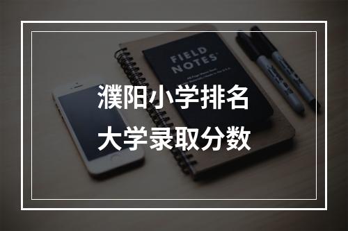 濮阳小学排名大学录取分数