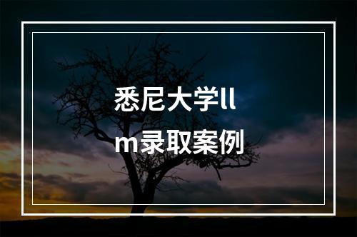 悉尼大学llm录取案例