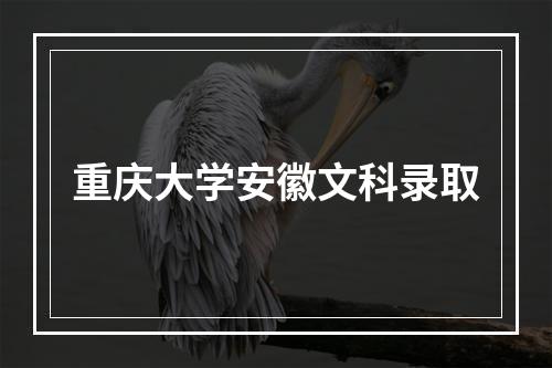 重庆大学安徽文科录取