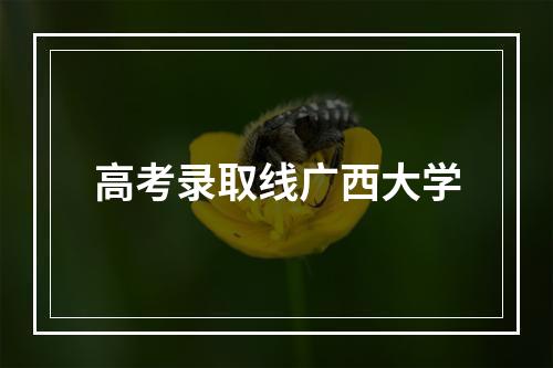 高考录取线广西大学