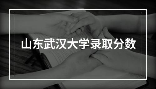 山东武汉大学录取分数