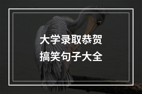 大学录取恭贺搞笑句子大全