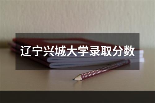 辽宁兴城大学录取分数