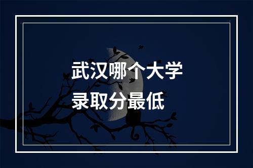 武汉哪个大学录取分最低