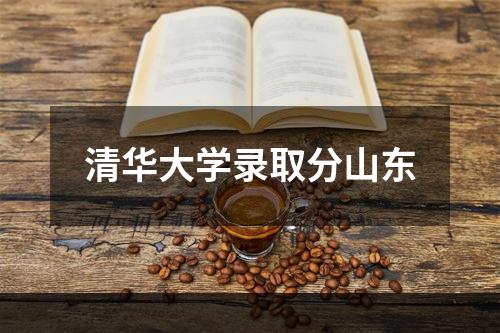 清华大学录取分山东