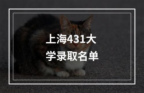 上海431大学录取名单