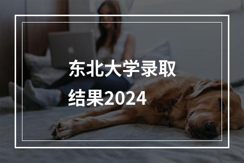 东北大学录取结果2024