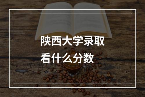 陕西大学录取看什么分数