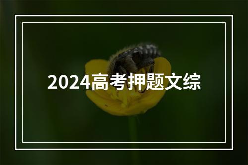 2024高考押题文综