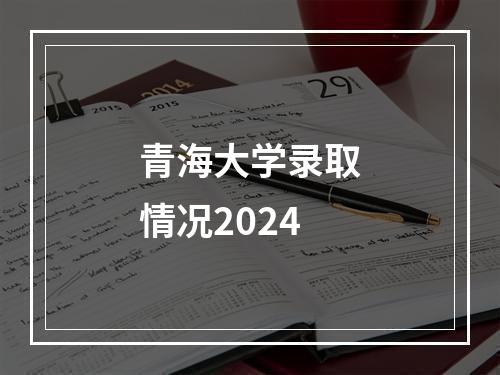 青海大学录取情况2024