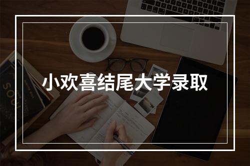 小欢喜结尾大学录取