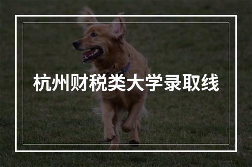 杭州财税类大学录取线