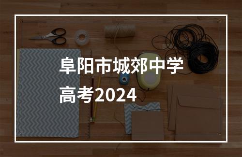 阜阳市城郊中学高考2024