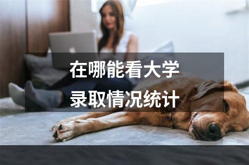 在哪能看大学录取情况统计