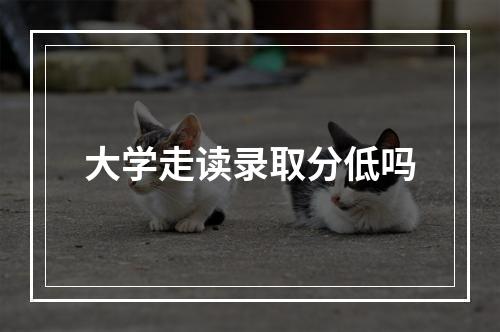 大学走读录取分低吗