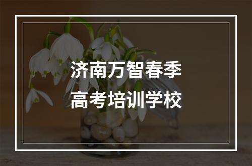 济南万智春季高考培训学校