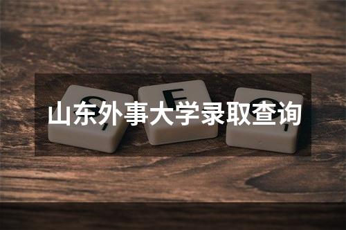 山东外事大学录取查询