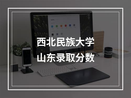 西北民族大学山东录取分数