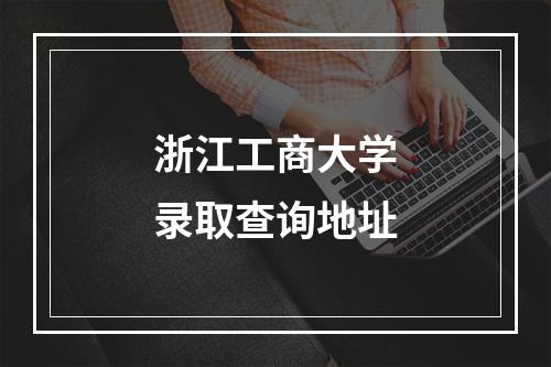 浙江工商大学录取查询地址