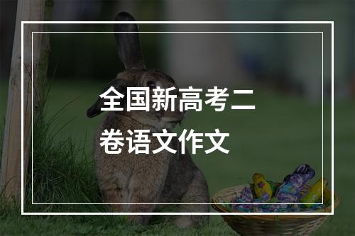 全国新高考二卷语文作文