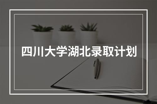 四川大学湖北录取计划