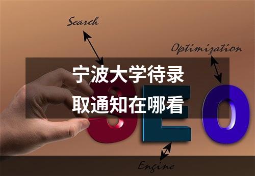 宁波大学待录取通知在哪看