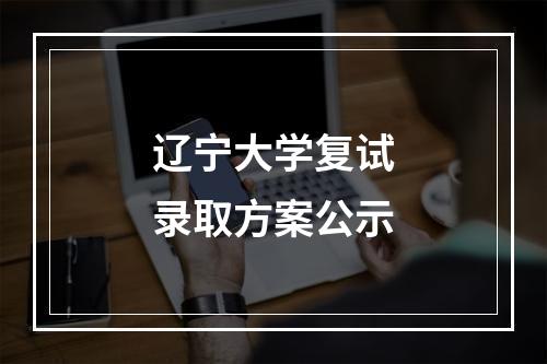 辽宁大学复试录取方案公示