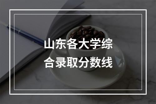 山东各大学综合录取分数线