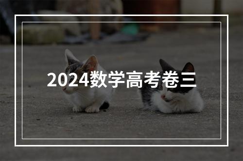 2024数学高考卷三