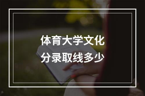 体育大学文化分录取线多少