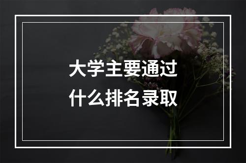 大学主要通过什么排名录取