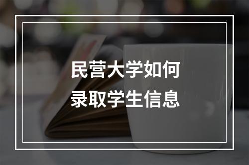 民营大学如何录取学生信息