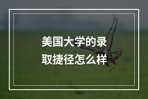 美国大学的录取捷径怎么样