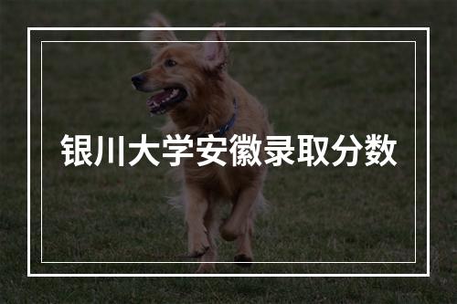 银川大学安徽录取分数