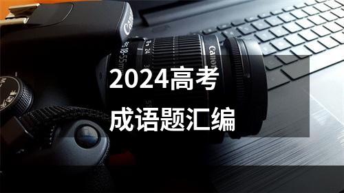 2024高考成语题汇编